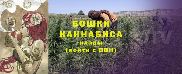 крисы Верея