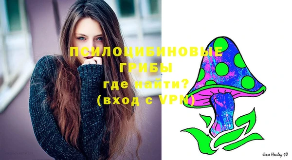 дурь Богородск