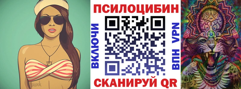 как найти   Старица  Галлюциногенные грибы ЛСД 